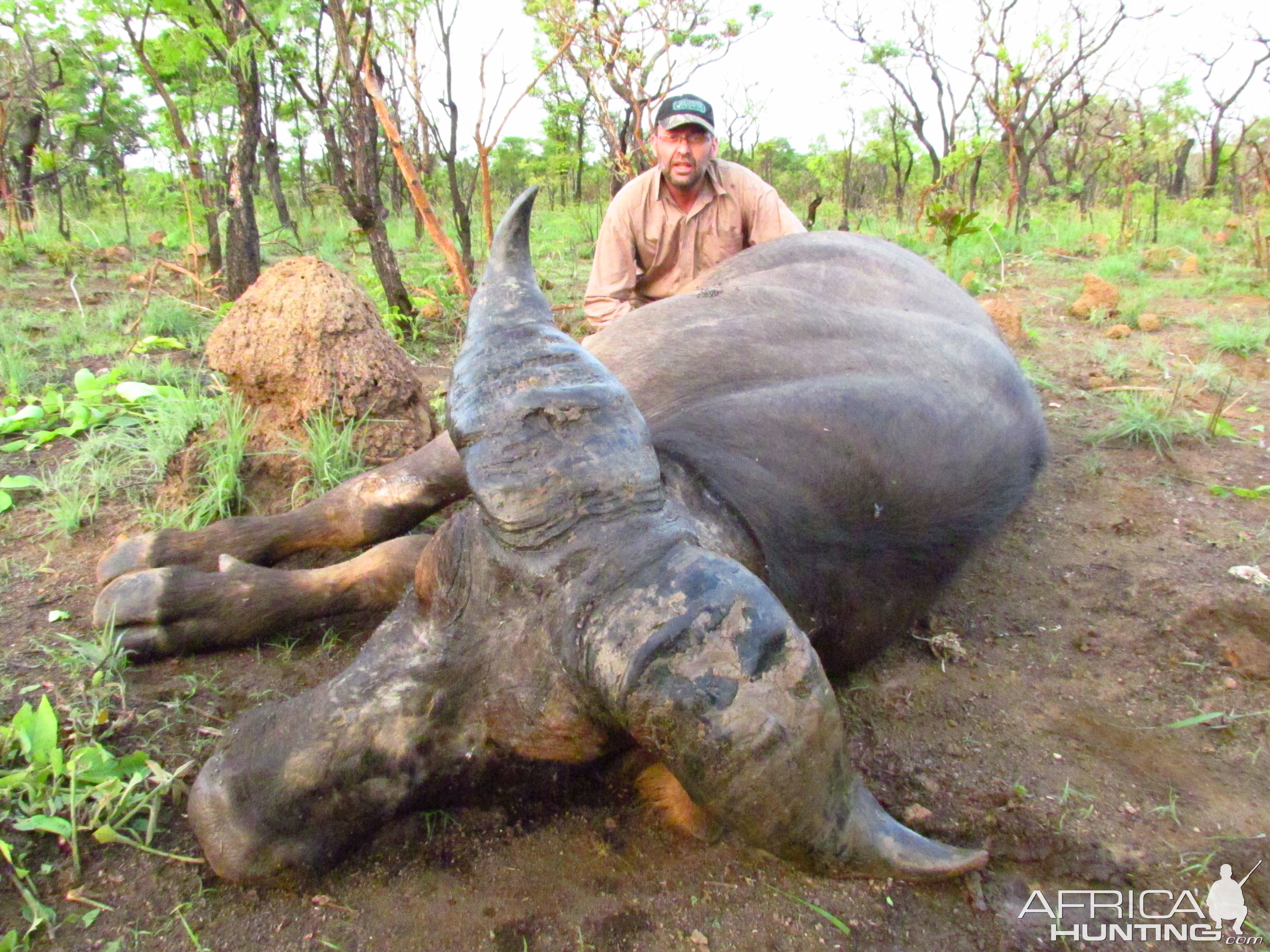 Buffalo hunt with CAWA in CAR