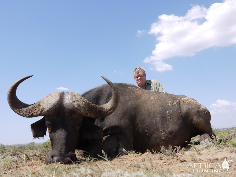 Buffalo hunt with Wintershoek Johnny Vivier Safaris