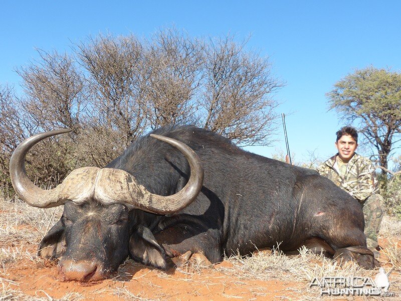 Buffalo hunt with Wintershoek Johnny Vivier Safaris