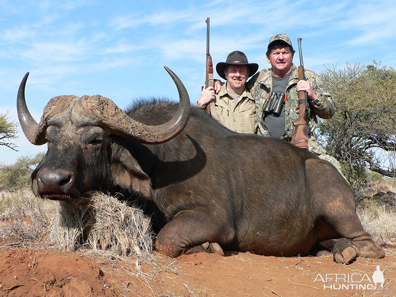 Buffalo hunt with Wintershoek Johnny Vivier Safaris