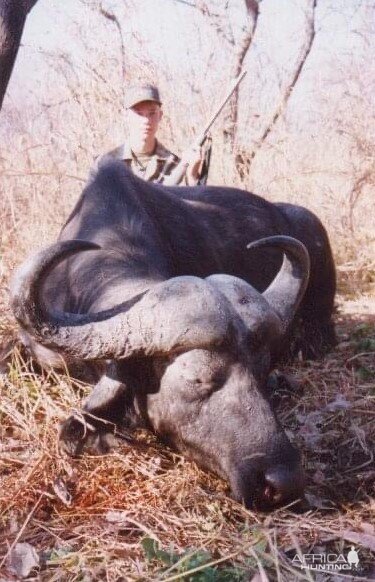 Buffalo Hunt Zambia