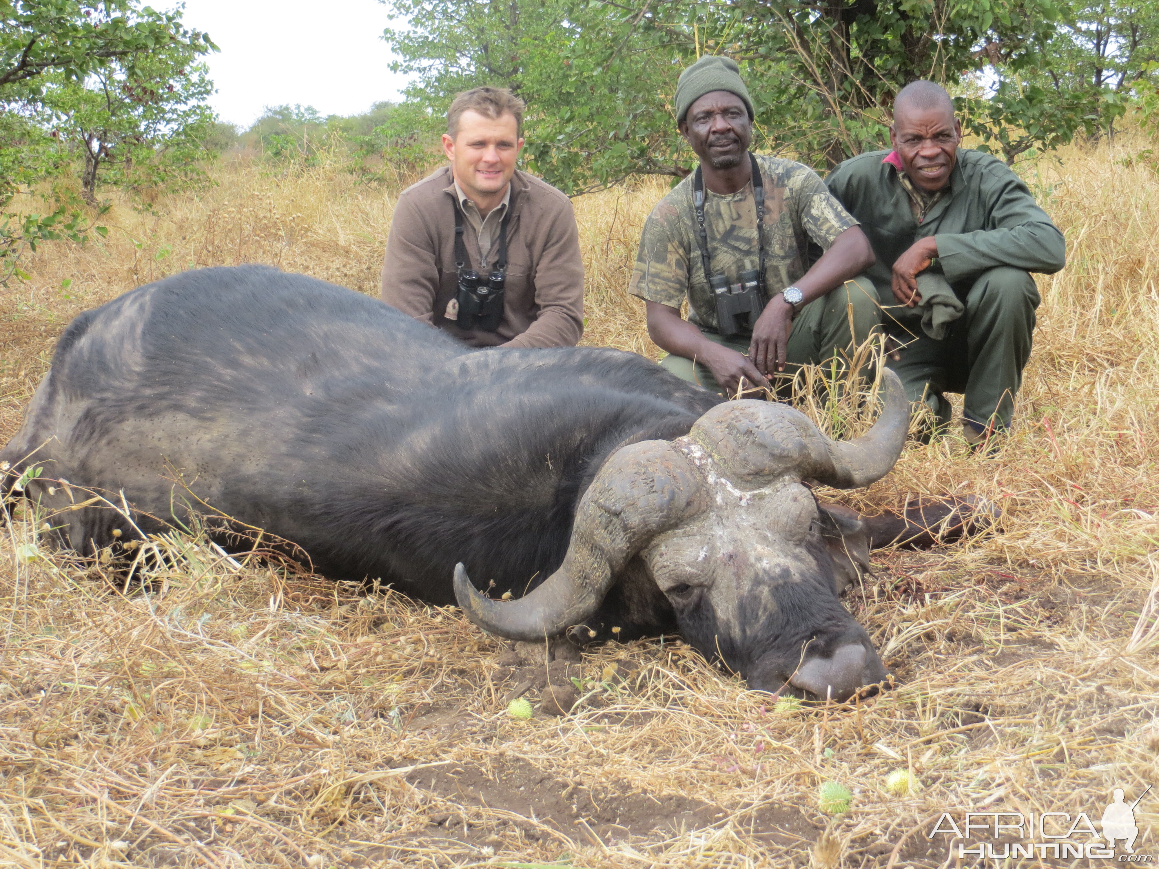 Buffalo Hunt Zimbabwe