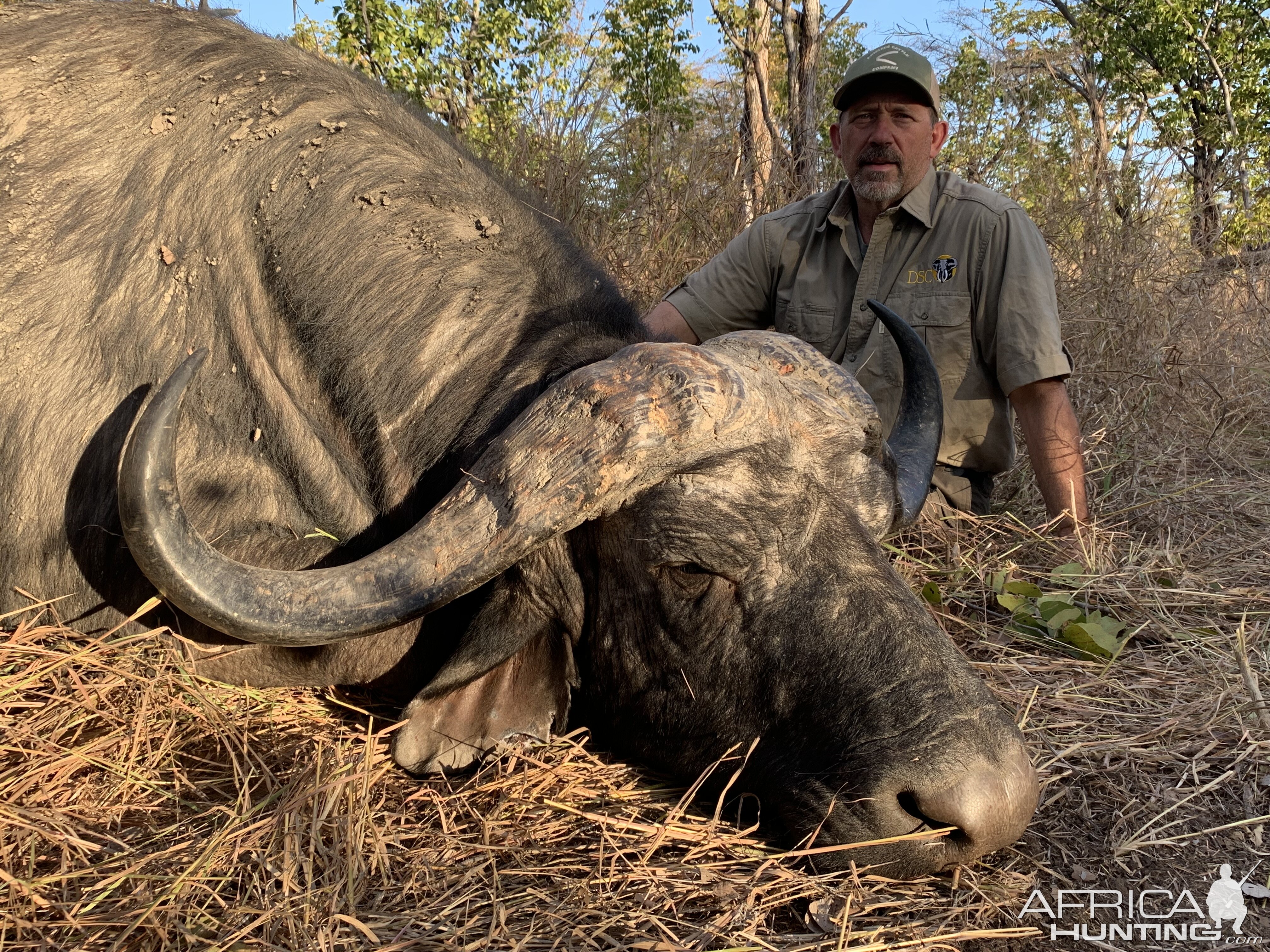 Buffalo Hunt Zimbabwe