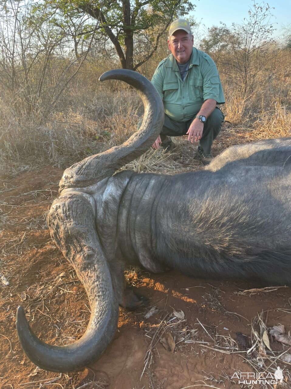 Buffalo Hunt Zimbabwe