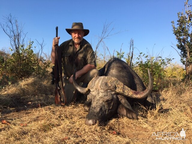 Buffalo Hunt Zimbabwe