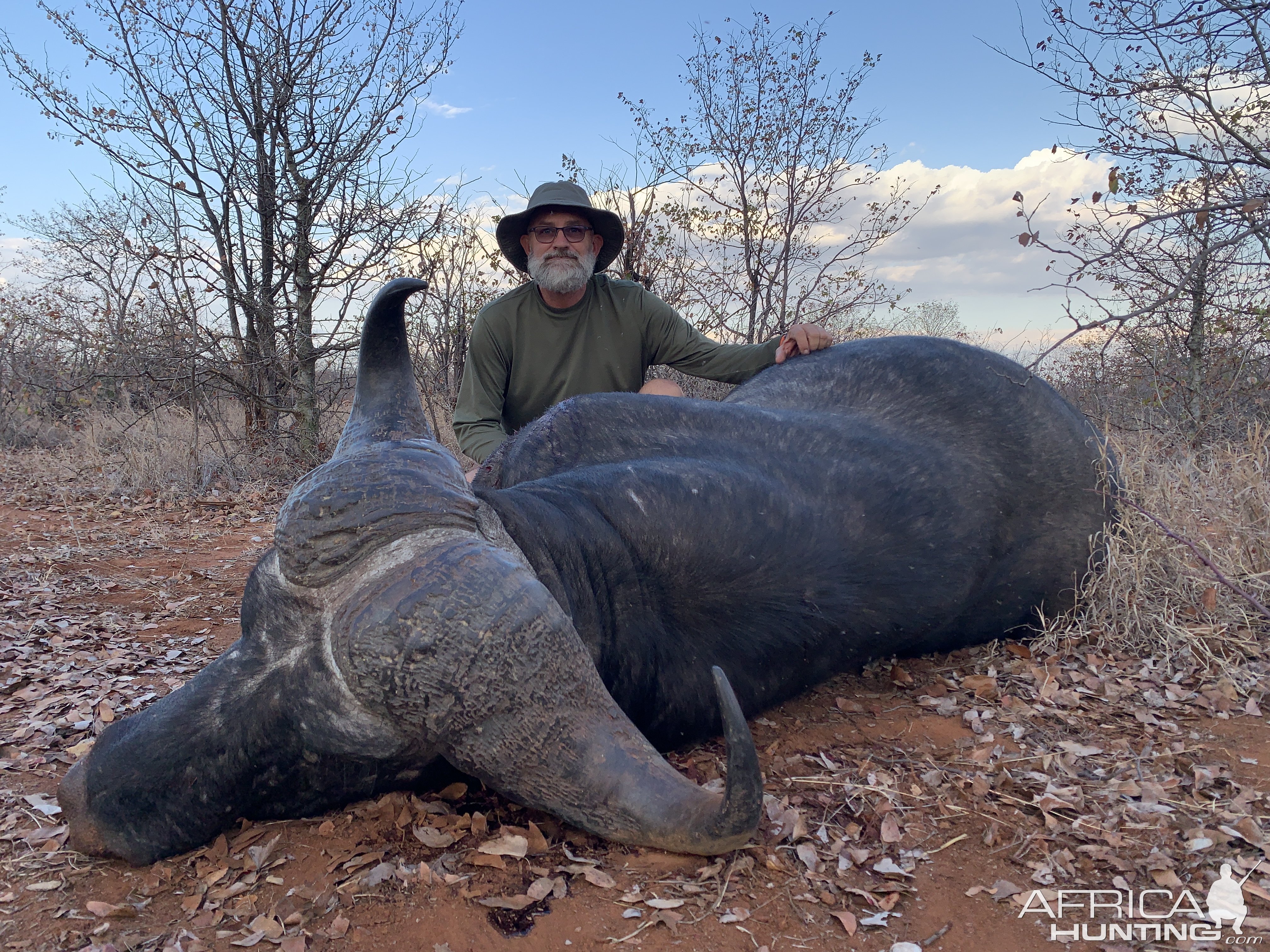 Buffalo Hunt Zimbabwe