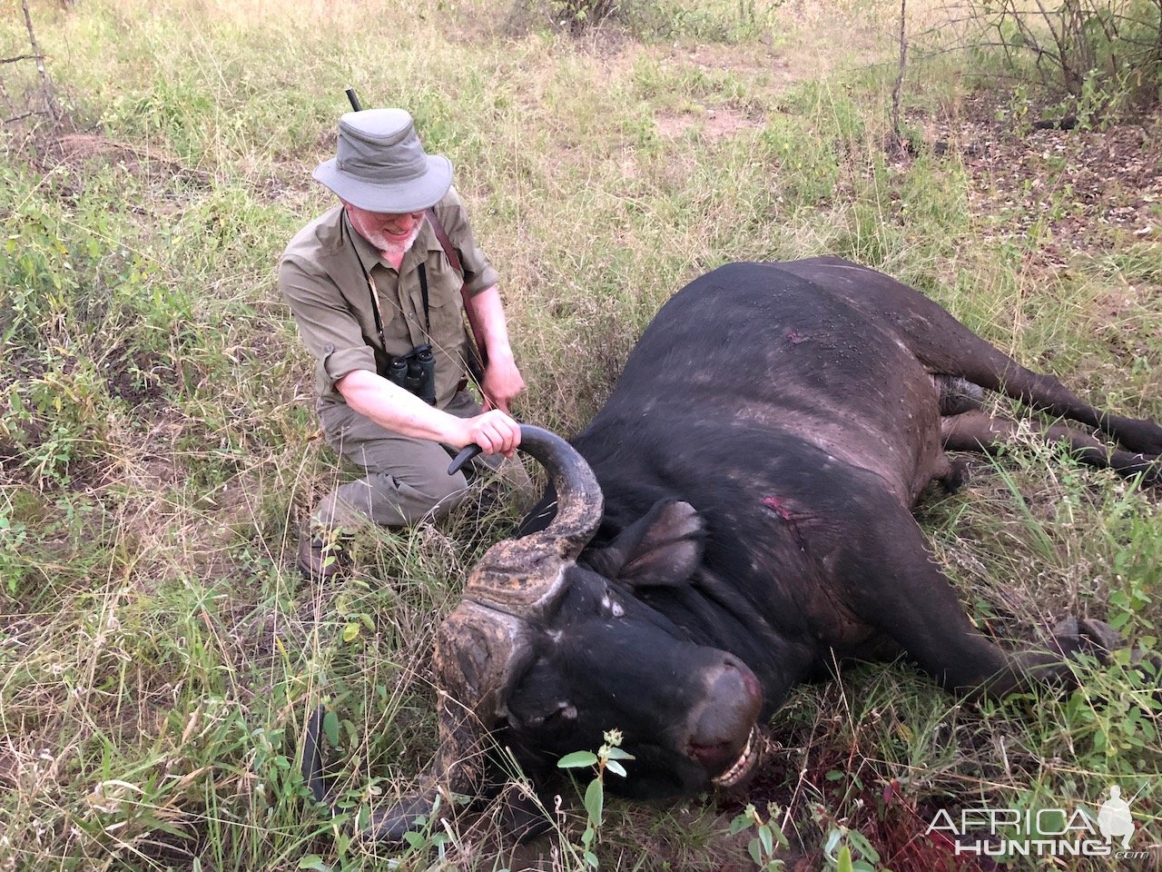 Buffalo Hunt Zimbabwe