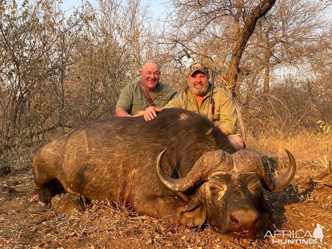 Buffalo Hunt Zimbabwe