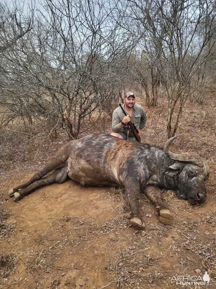 Buffalo Hunt Zimbabwe