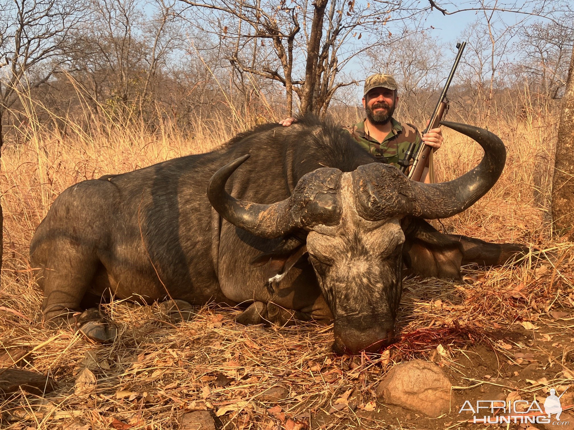 Buffalo Hunt Zimbabwe