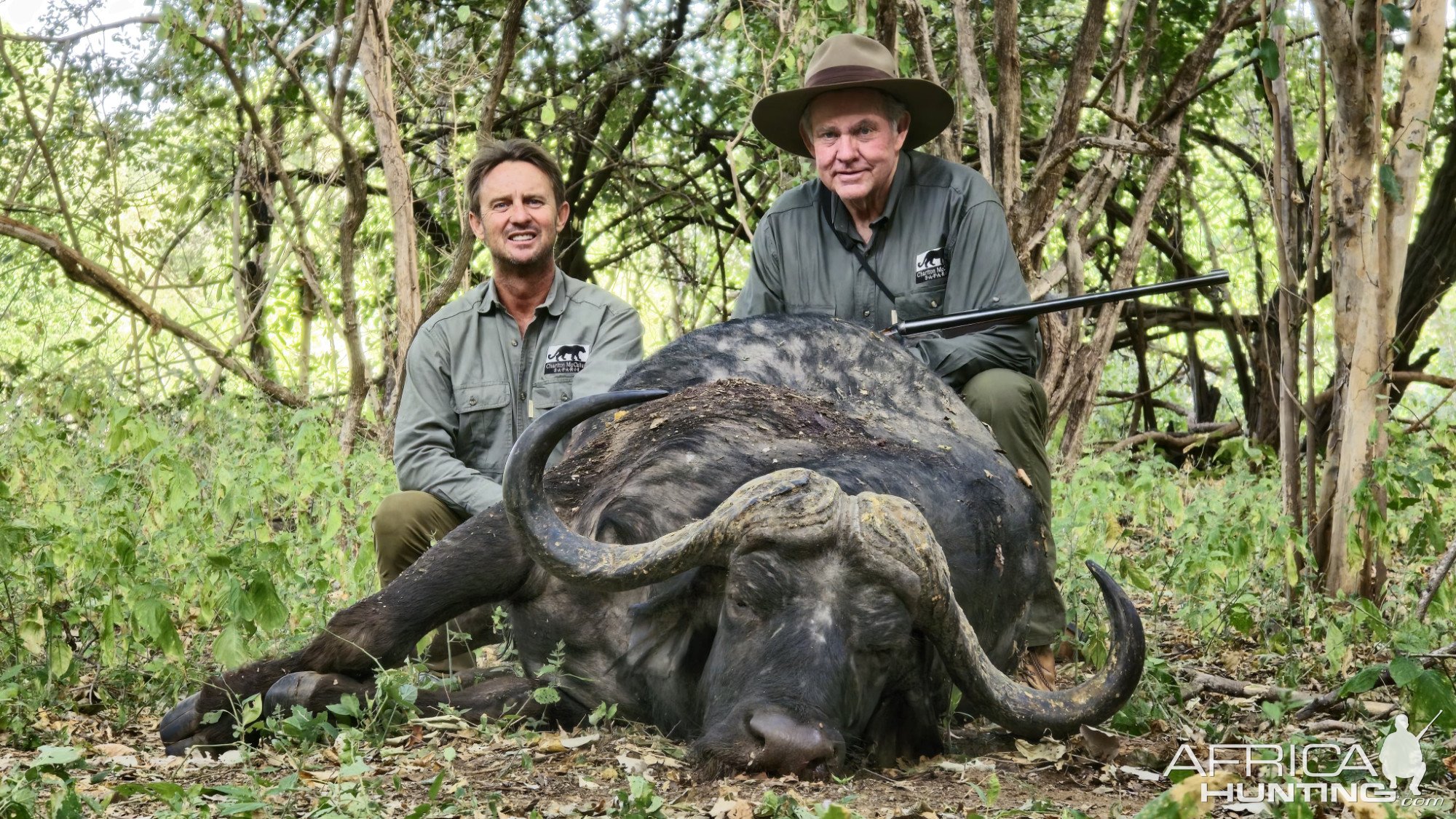 Buffalo Hunt Zimbabwe