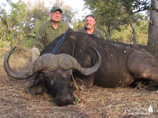 Buffalo Hunt Zimbabwe