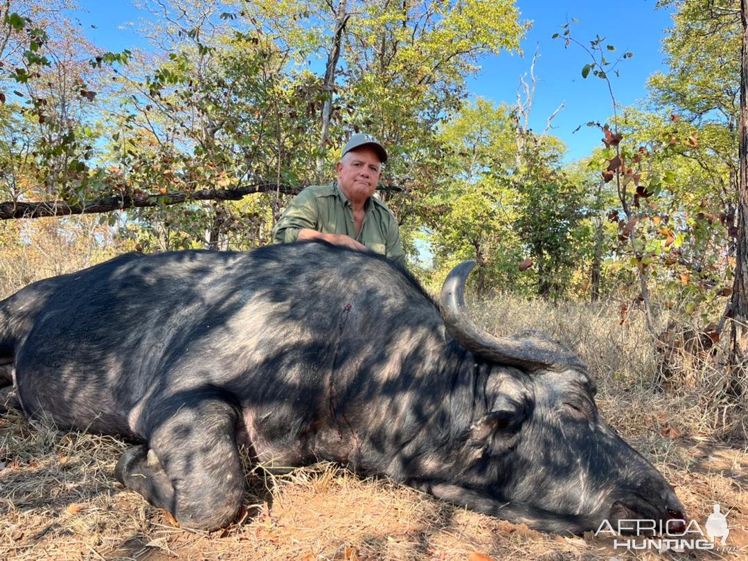 Buffalo Hunt Zimbabwe