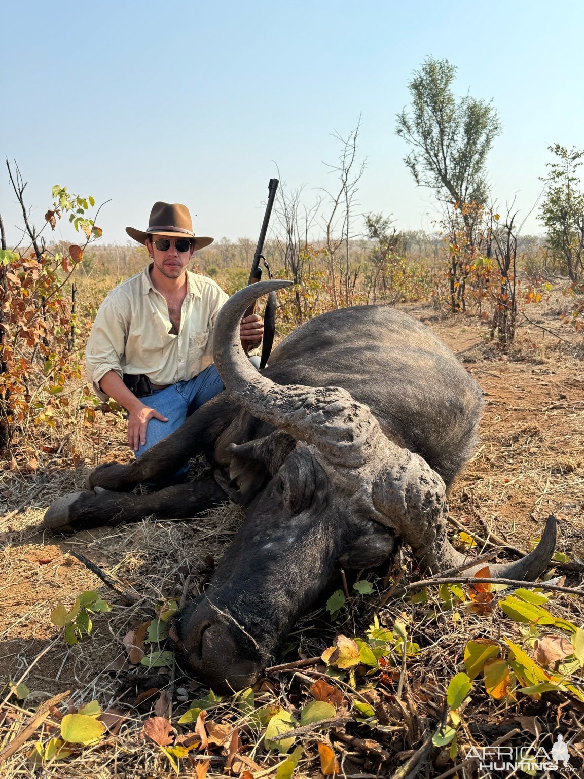 Buffalo Hunt Zimbabwe