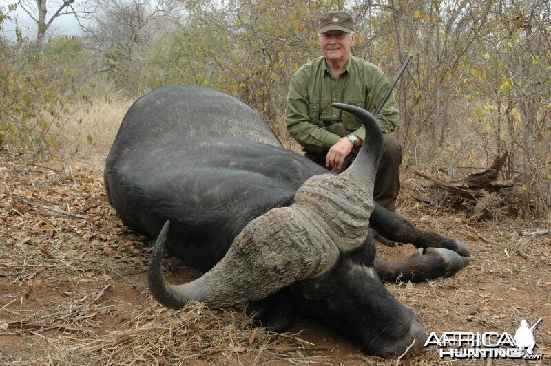 Buffalo Hunt Zimbabwe