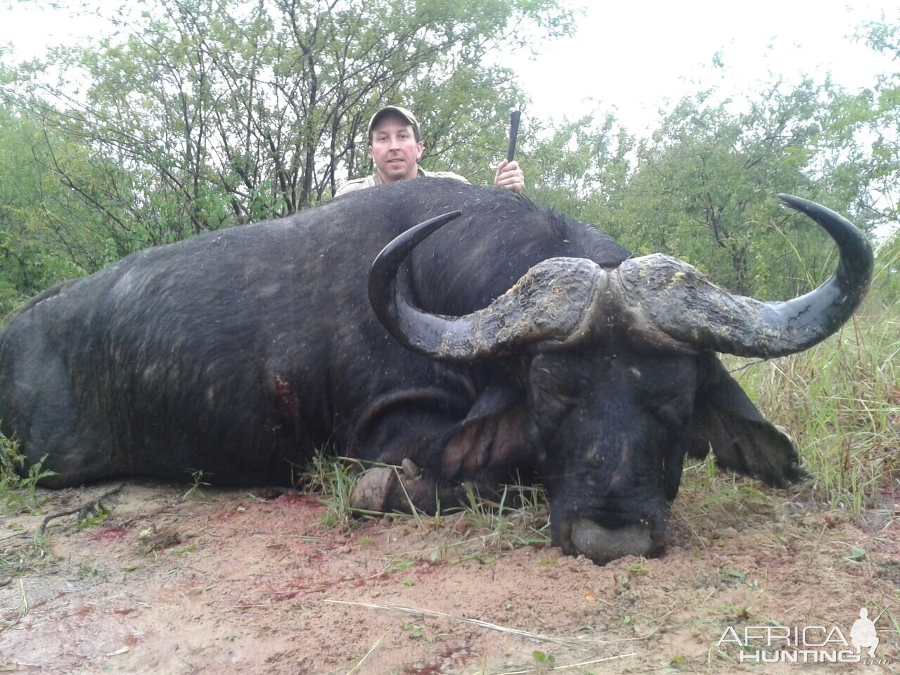 Buffalo Hunt Zimbabwe