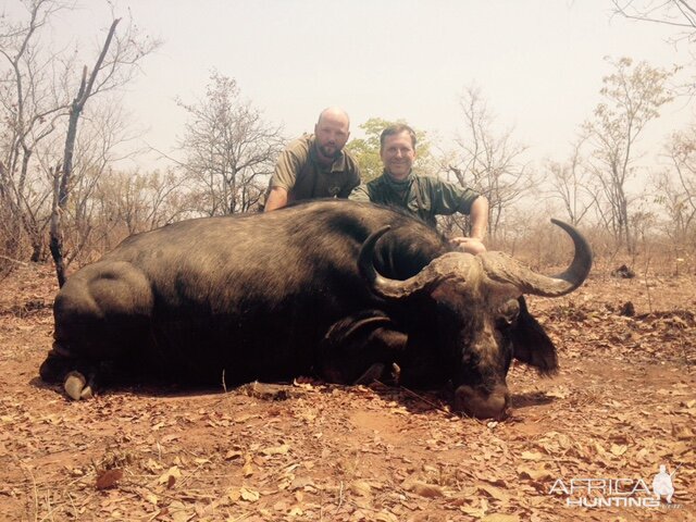 Buffalo Hunt Zimbabwe