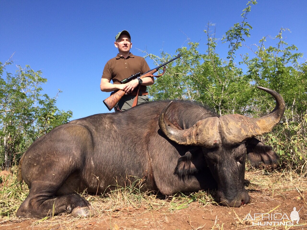 Buffalo Hunt Zimbabwe