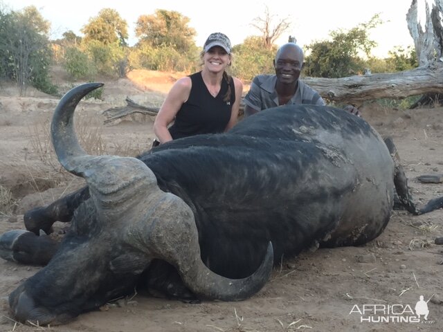 Buffalo Hunt Zimbabwe