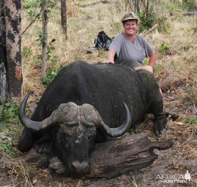 Buffalo Hunt Zimbabwe