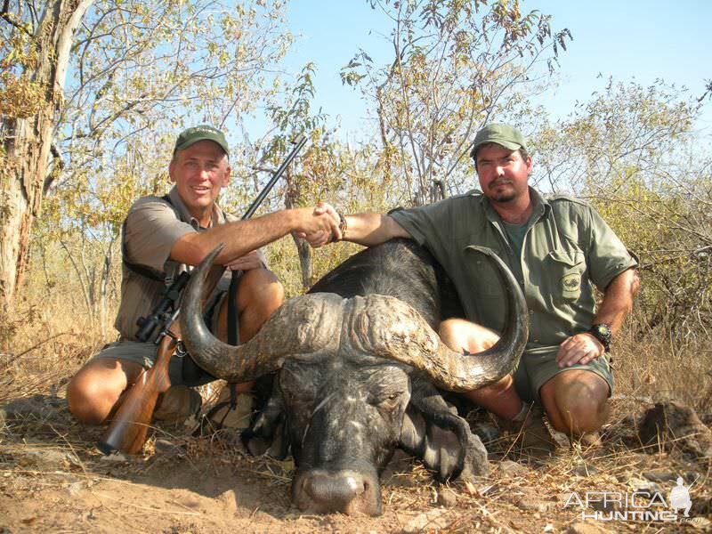 Buffalo Hunt Zimbabwe