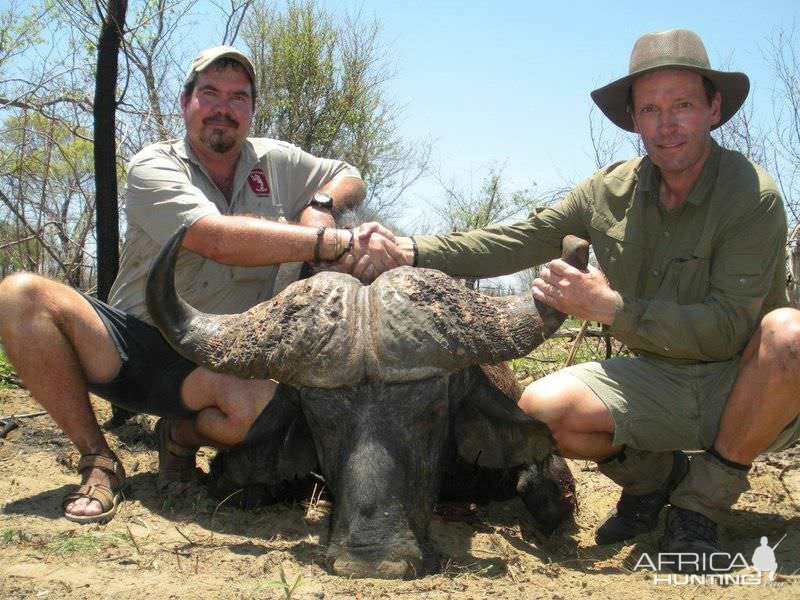 Buffalo Hunt Zimbabwe