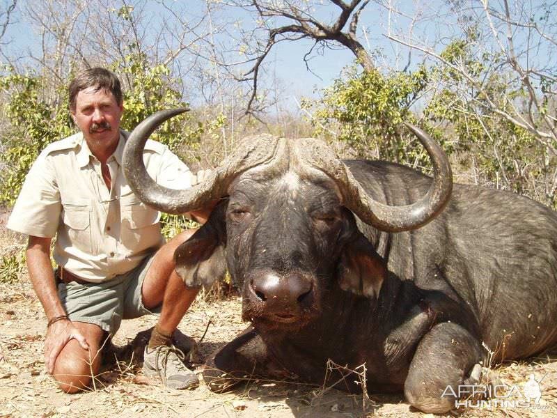 Buffalo Hunt Zimbabwe