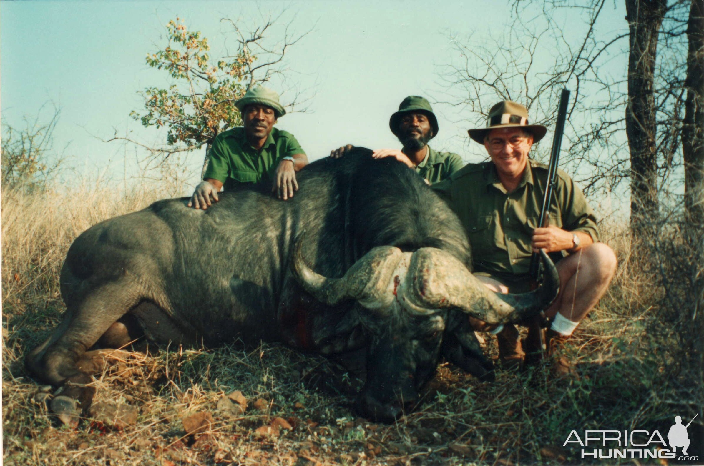 Buffalo hunt Zimbabwe