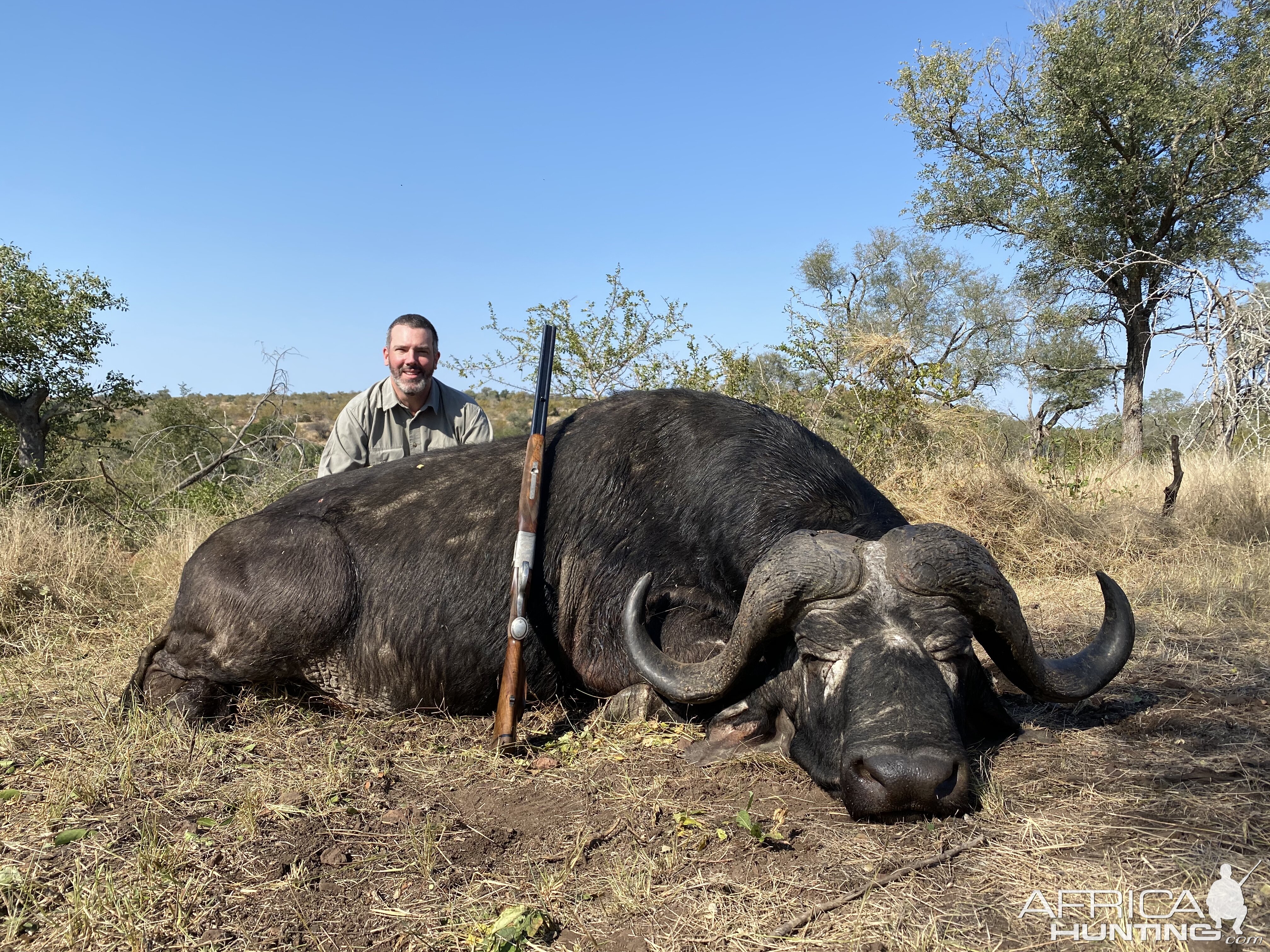 Buffalo Hunt