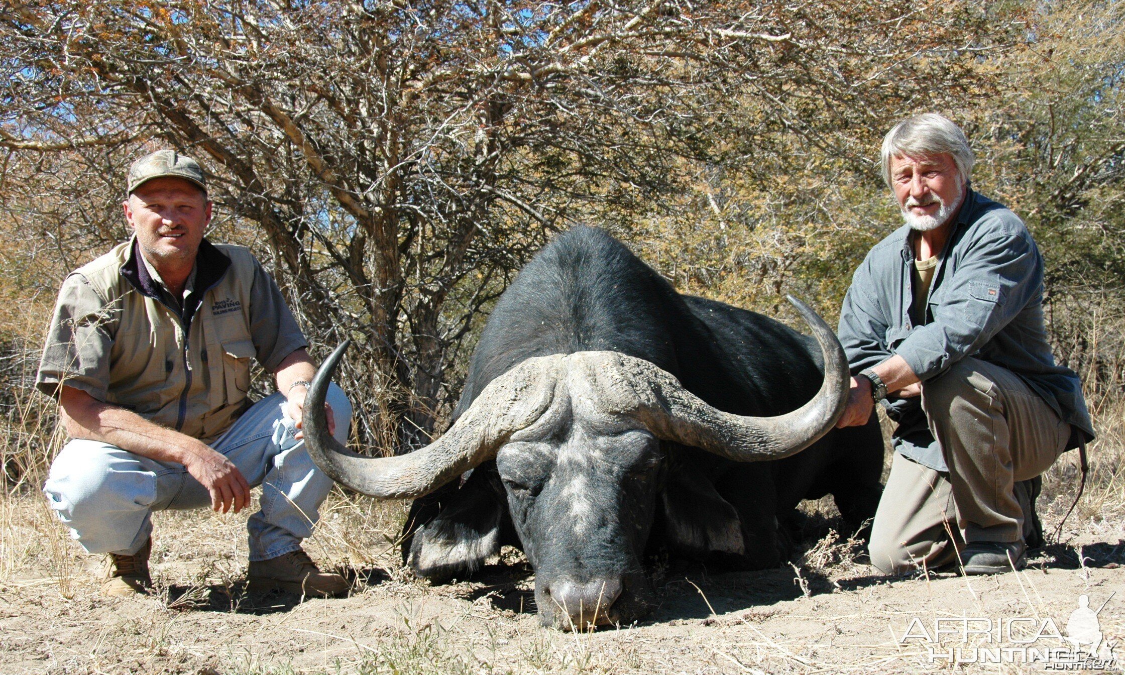 Buffalo Hunt