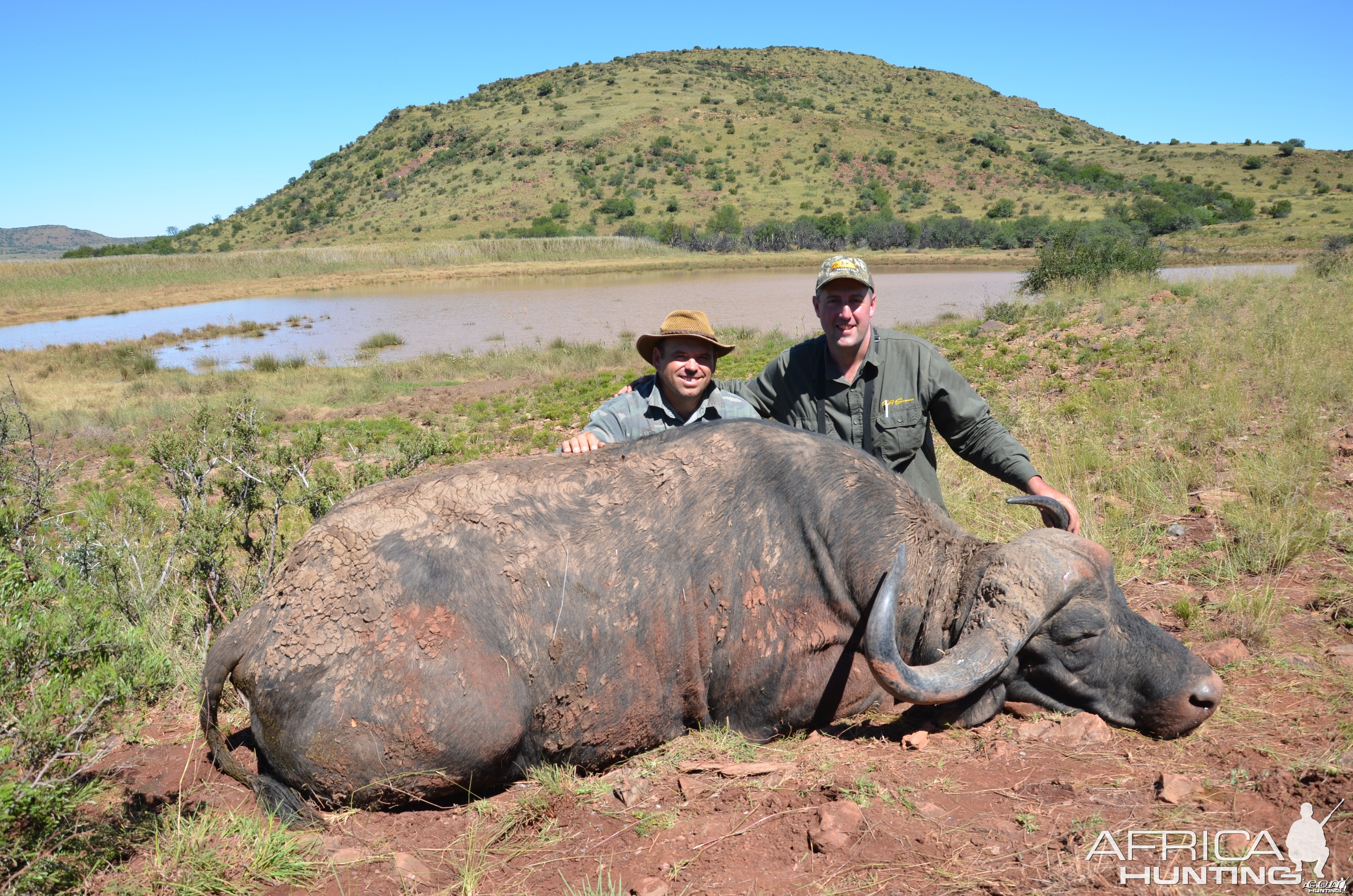 Buffalo Hunt