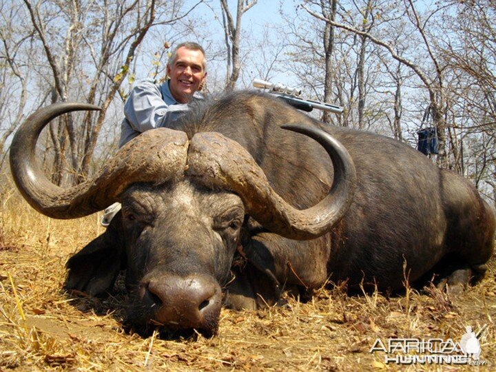 Buffalo hunted at Mokore Safaris with handgun