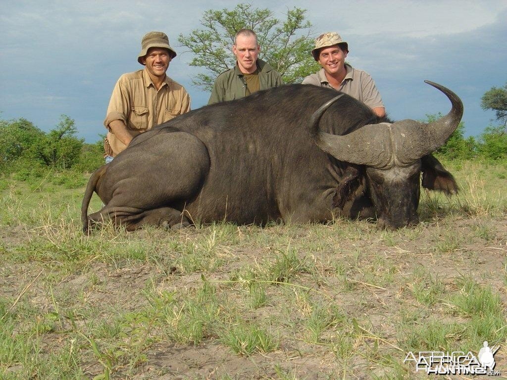 Buffalo hunted in Caprivi Namibia with Van Heerden Safaris