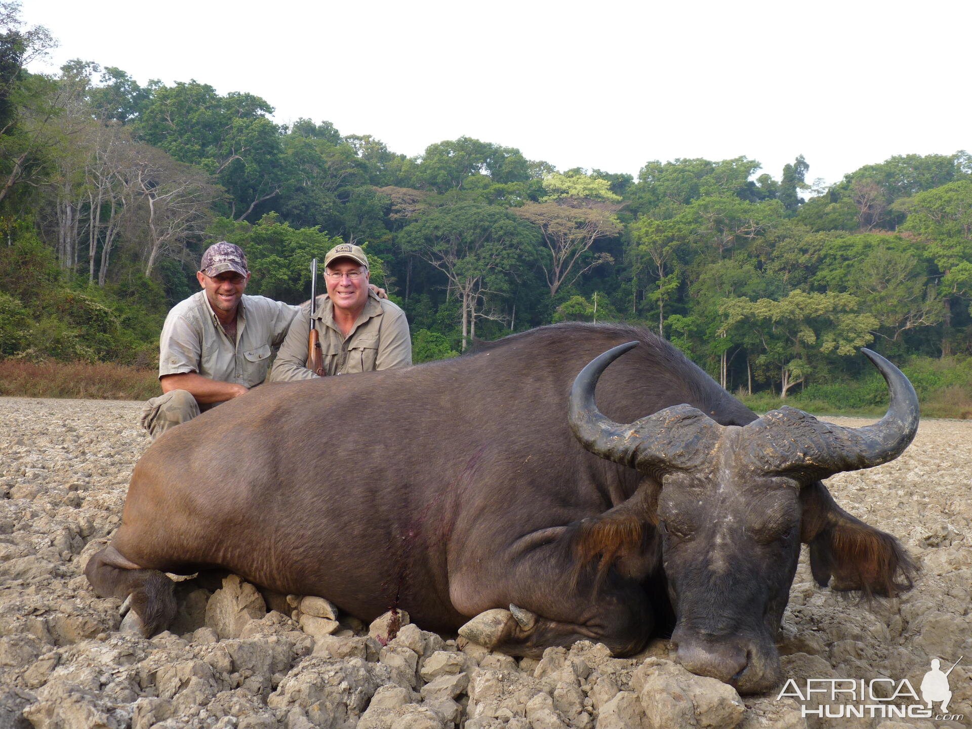 Buffalo hunted in CAR