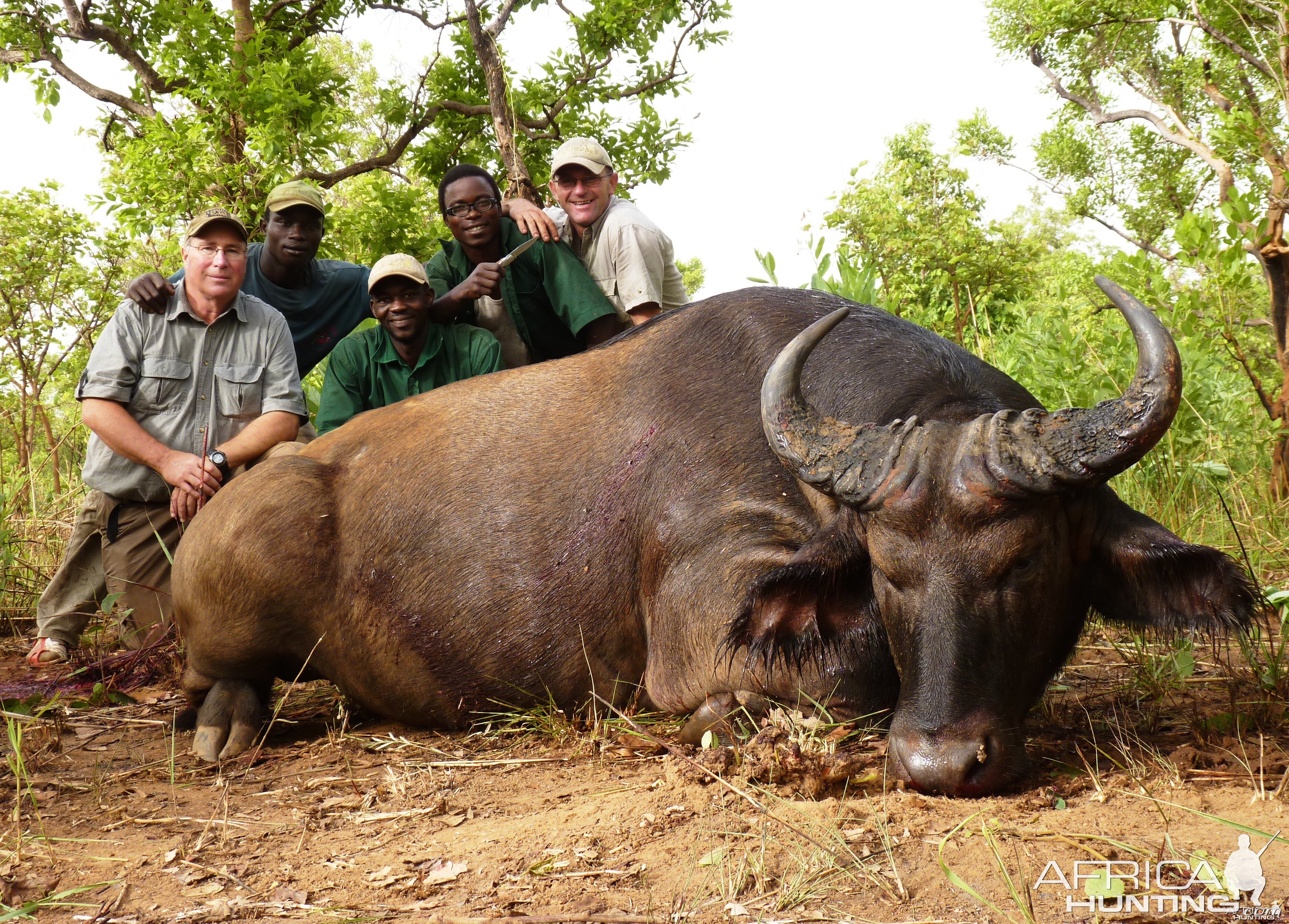 Buffalo hunted in CAR