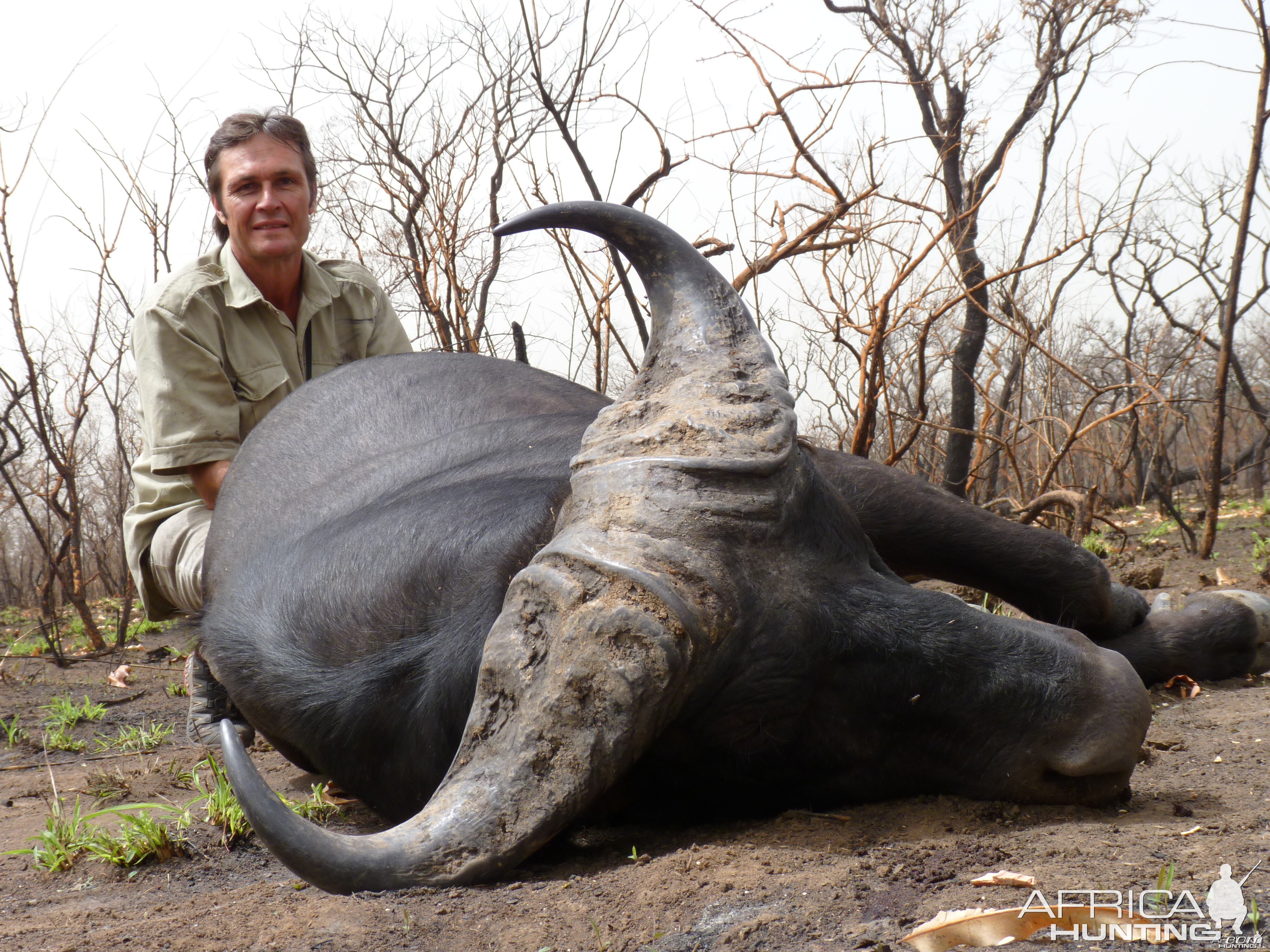 Buffalo hunted in Central African Republic with CAWA