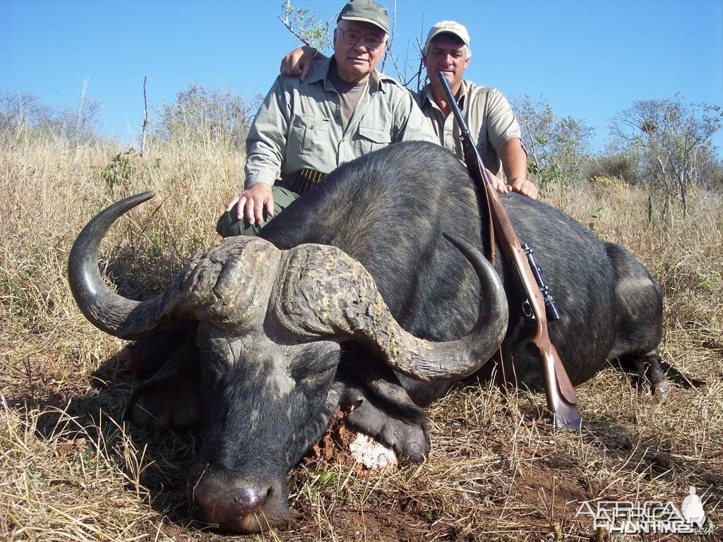 Buffalo hunted with Farren Safaris in Zimbabwe