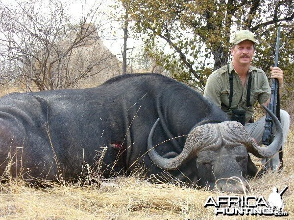 Buffalo hunted with SSG Safaris PH Nixon Dzingai