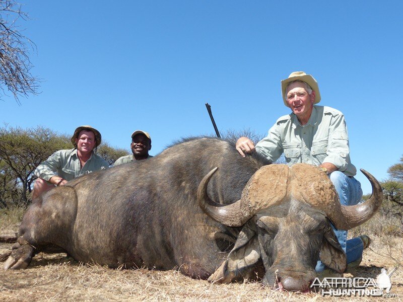 Buffalo hunted with Wintershoek Johnny Vivier Safaris