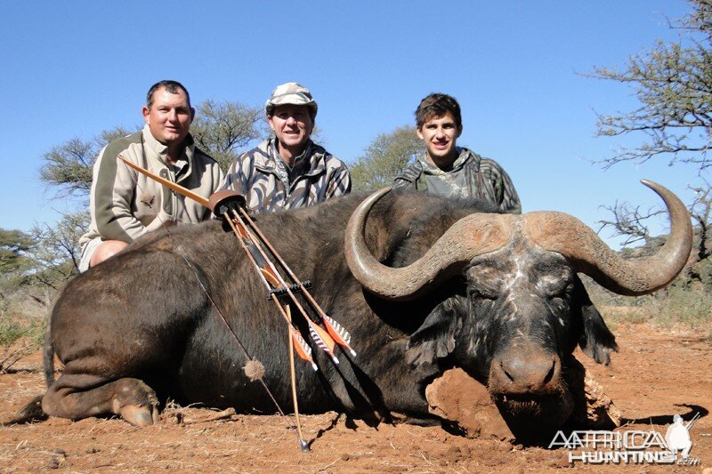 Buffalo hunted with Wintershoek Johnny Vivier Safaris