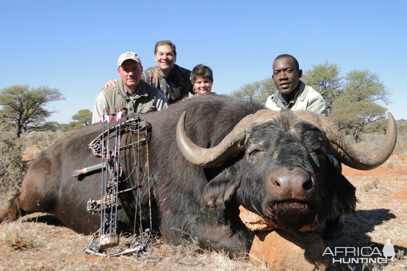 Buffalo hunted with Wintershoek Johnny Vivier Safaris