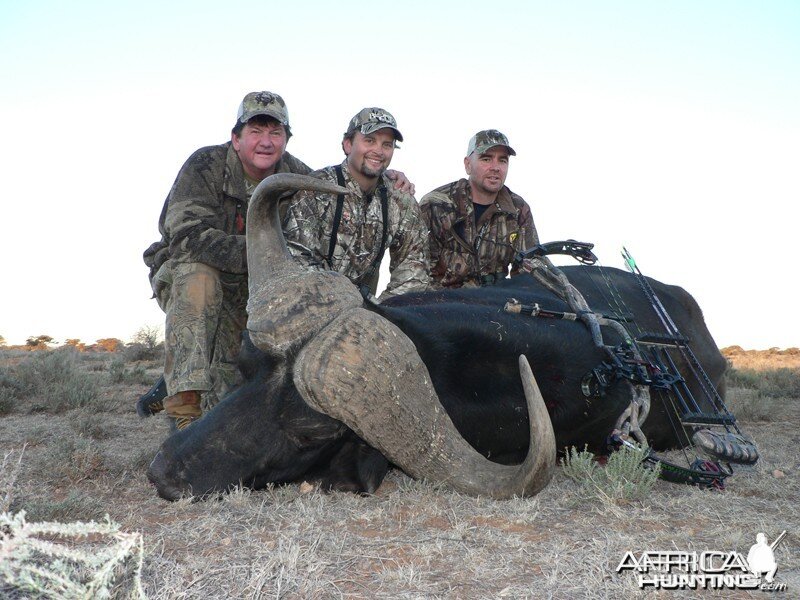 Buffalo hunted with Wintershoek Johnny Vivier Safaris