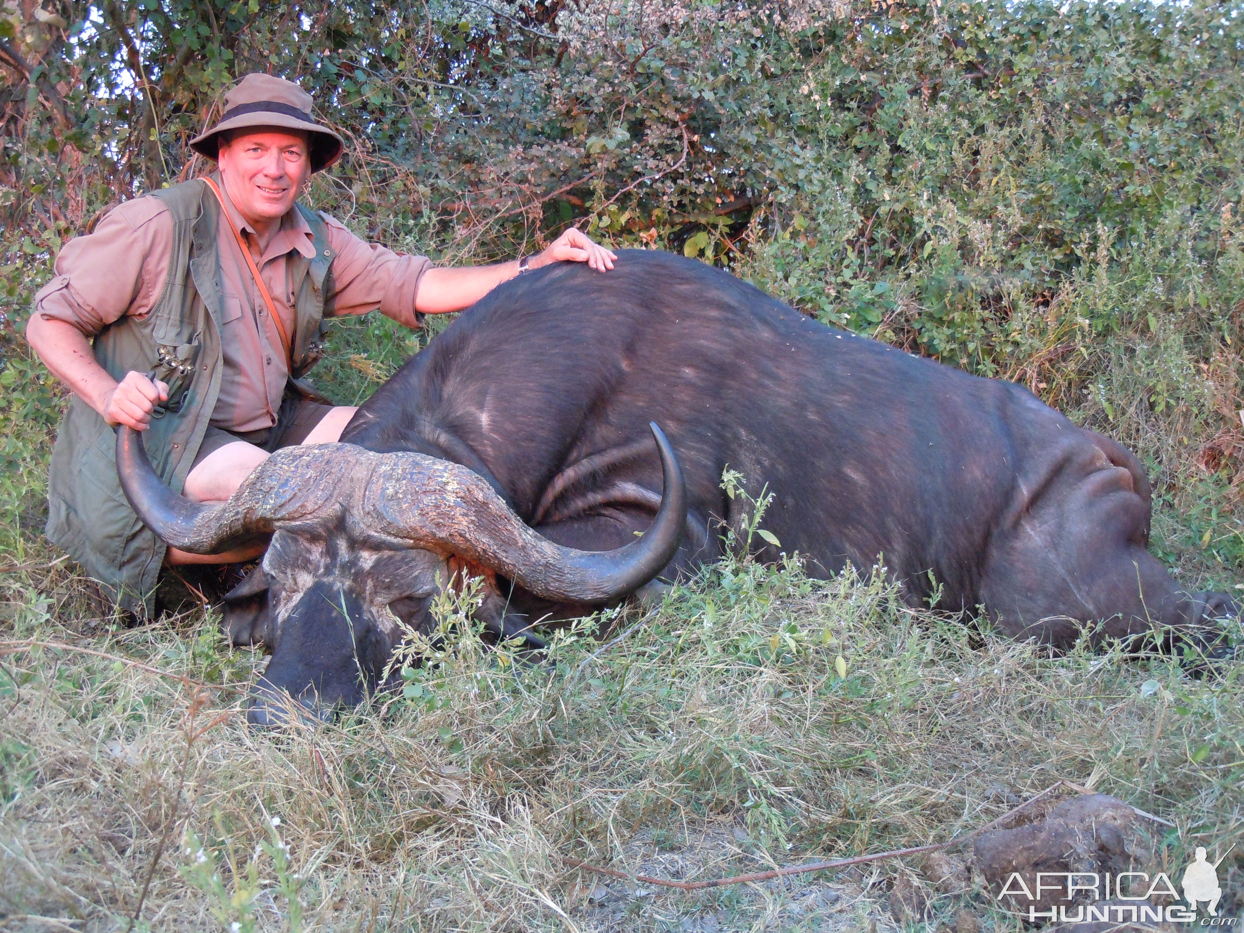 Buffalo Hunting Caprivi Namibia