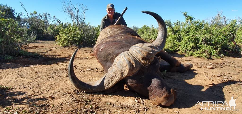 Buffalo Hunting Eastern Cape South Africa