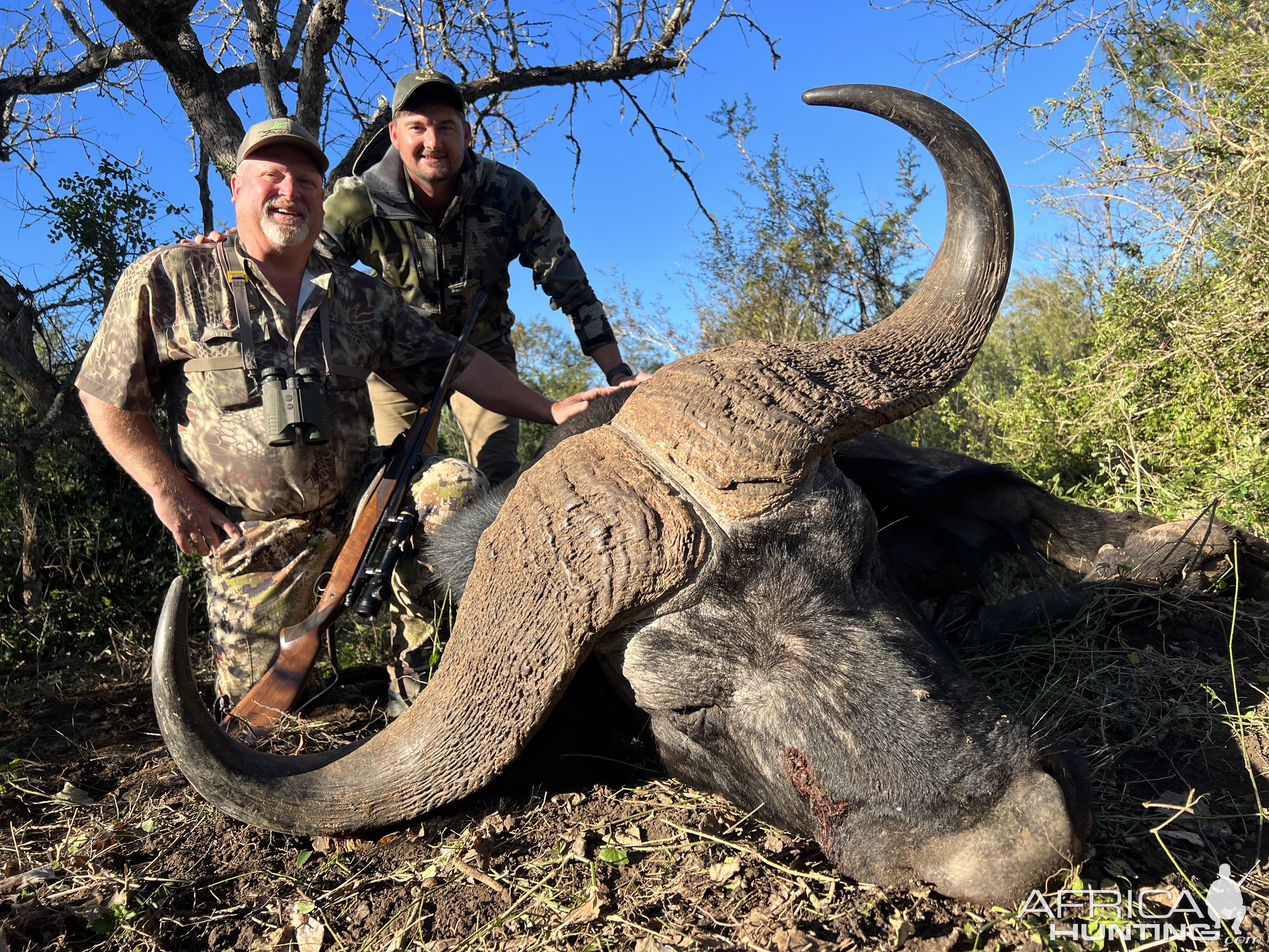 Buffalo Hunting Eastern Cape South Africa