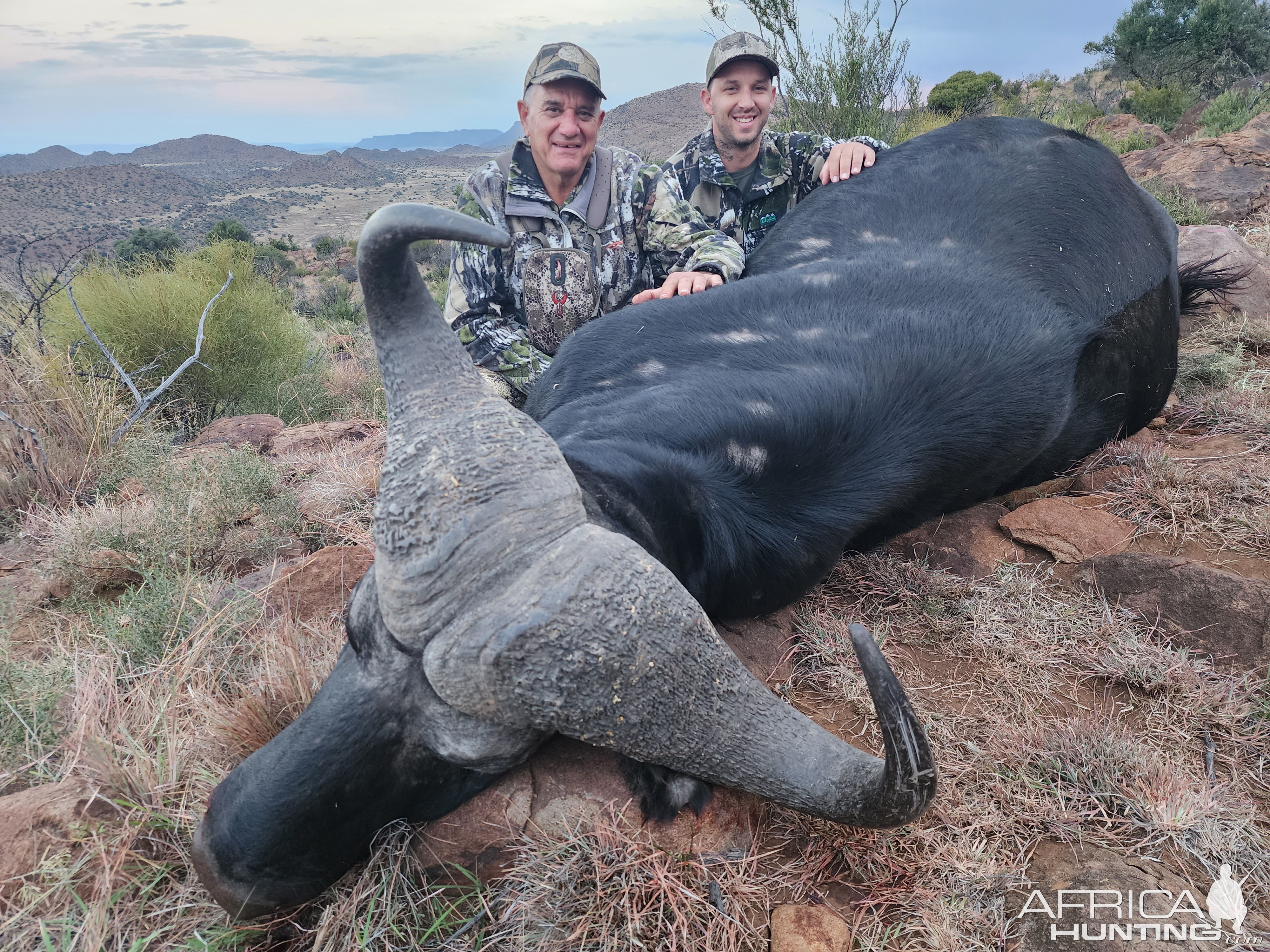 Buffalo Hunting Eastern Cape South Africa