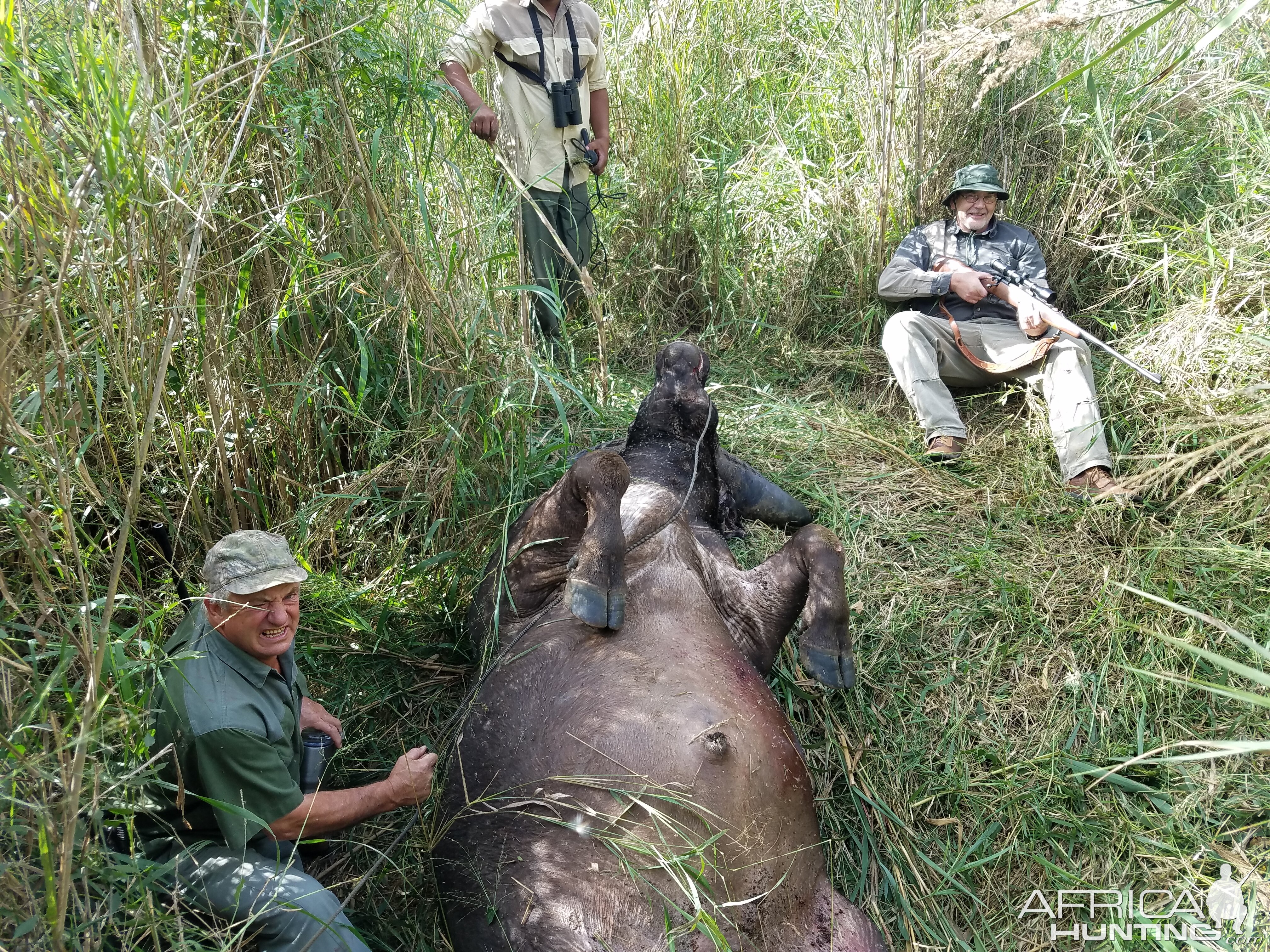 Buffalo Hunting in South Africa