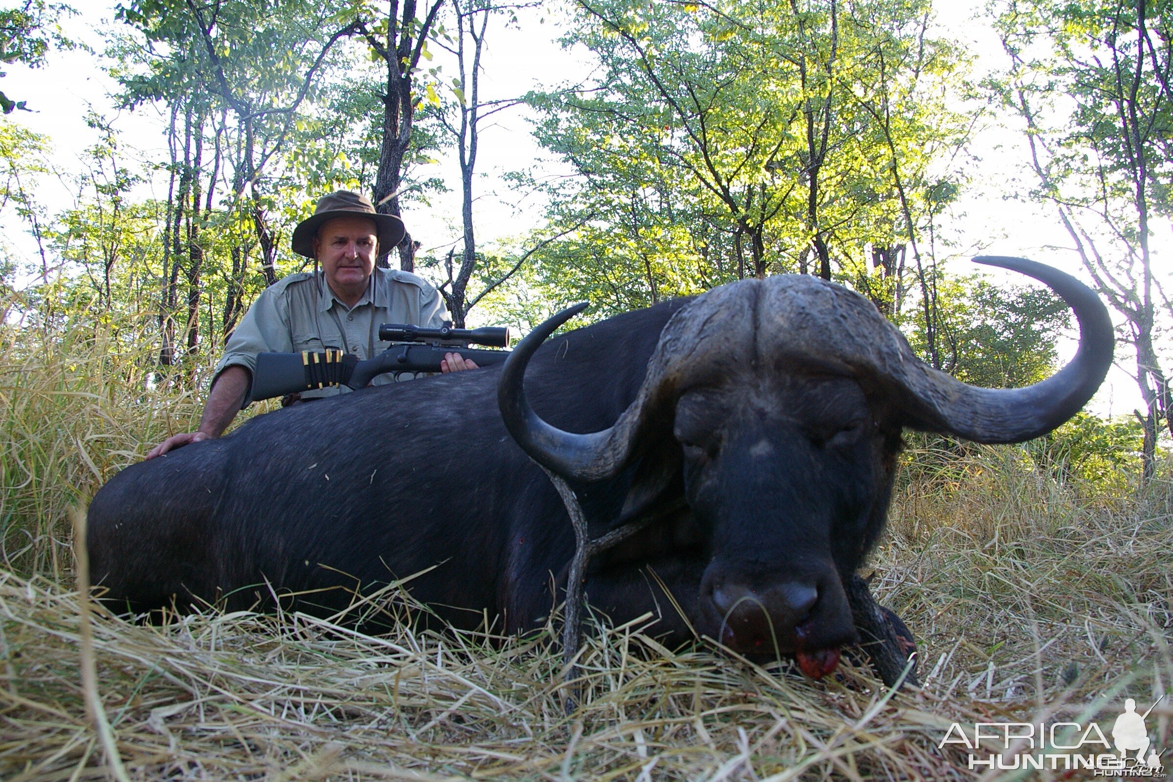 Buffalo hunting in the South Luangwa area of Zambia - 40 inch horns