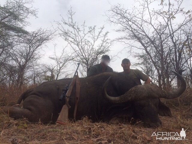 Buffalo Hunting in Zimbabwe