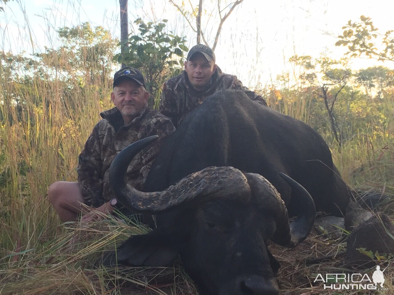 Buffalo Hunting in Zimbabwe